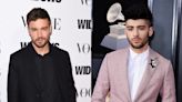 Liam Payne says he has 'many reasons' for disliking former One Direction bandmate Zayn Malik but he's still on his side