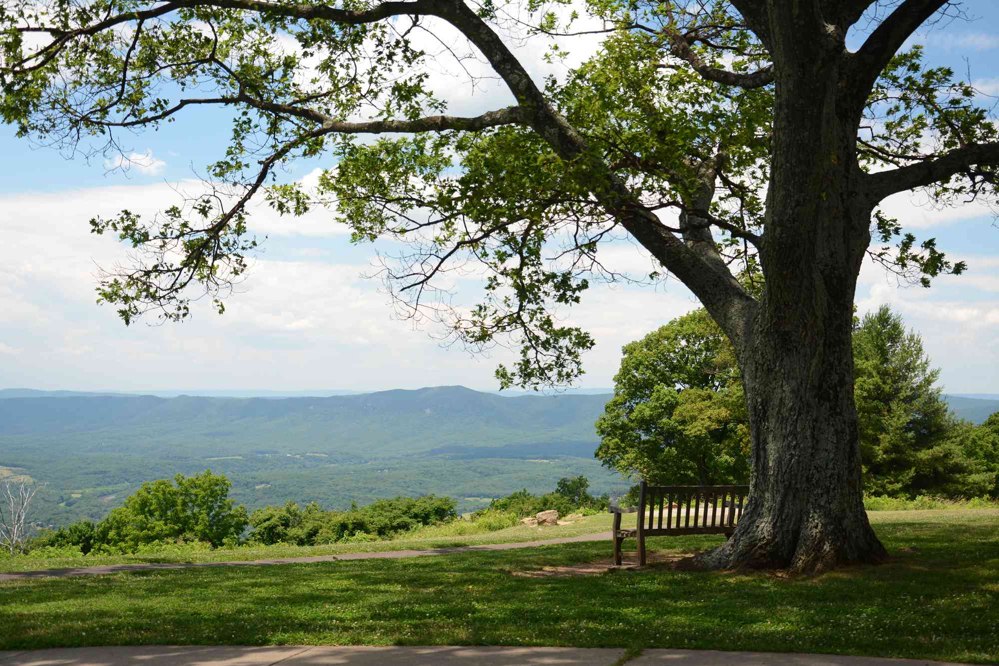 This Tiny Virginia Town Has New Tree House Suites and Scenic Mountain Hikes — and It's a Beautiful Autumn Getaway