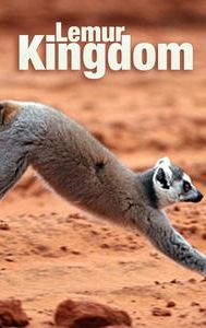 Lemur Kingdom