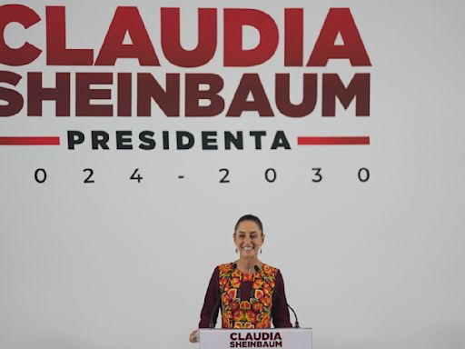 Mexico’s incoming president appoints expert in sustainable development as head of energy