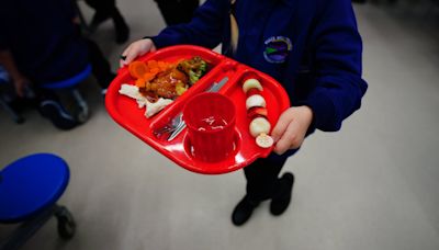 All primary pupils should receive free school lunches, say health experts