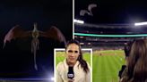 ‘House Of The Dragon’ Promo During TBS Coverage Of New York Yankees Playoff Game Draws Eyerolls: “I Just Died A...