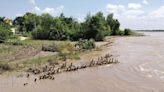 Floods wreak havoc in 633 UP villages, 7 lakh people affected