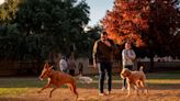 Sacramento to host open house on plan to add a dog park to one of these iconic neighborhoods