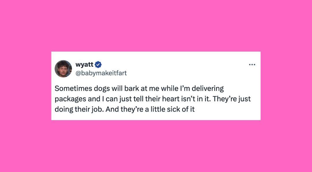 27 Of The Funniest Tweets About Cats And Dogs This Week (May 25-31)