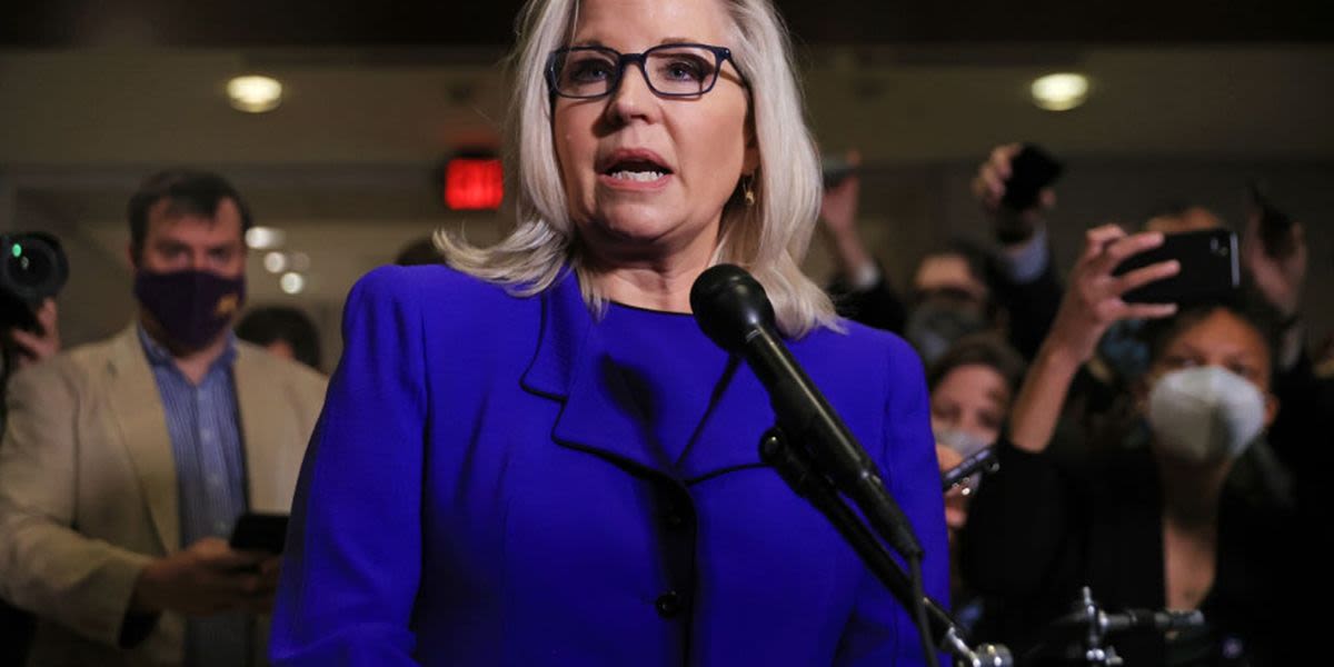 'Put aside your cowardice': Furious Liz Cheney slams GOP over Trump's 'dangerous lie'