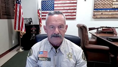 California sheriff warns voters about 'immoral' plot by Gavin Newsom