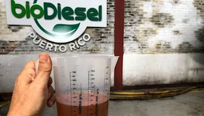 Medida: una provincia con el combustible más caro del país pasó a promover el transporte con el aceite usado de cocina