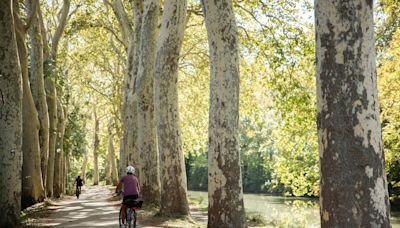 No sul da França, roteiro de bicicleta revela as belezas de um canal construído para ligar dois mares