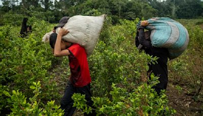 Colombia afronta un nuevo problema: el exceso de cocaína