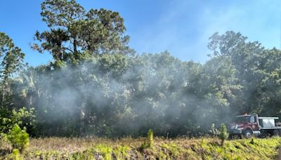 Brush fire off SR60 in west Indian River County follows afternoon storm