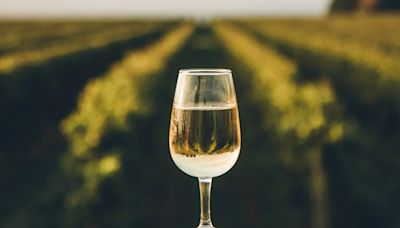 26 Year Legacy: AmRhein Wine Cellars in Roanoke County closing in June