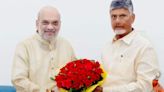 Delhi: Andhra Pradesh CM Chandrababu Naidu Meets Home Minister Amit Shah & Apprises Him Of State's Financial Crisis