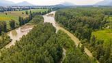 Island purchase near Chilliwack 'an incredible opportunity' to protect salmon