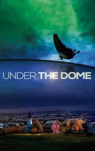 Under the Dome