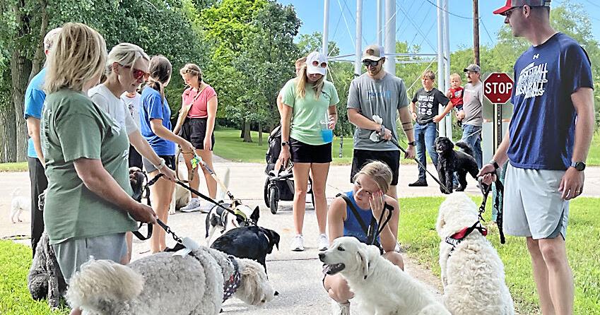 Dogs lead masters down the trail