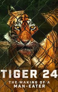 Tiger 24