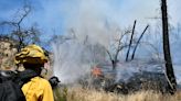 4 firefighters battling small Bay Area vegetation fire hospitalized