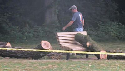 Massive tree branch falls on 3 children at Massachusetts playground, trapping young girl