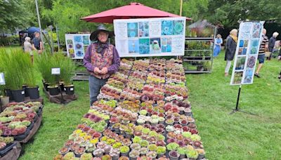 Thinking about entering Taunton Flower Show? Here's everything you need to know