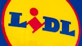 What Is Lidl And Is It Related To Aldi?