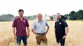 Big-scale Suffolk estate veg growers power through frustrating stop-start harvest