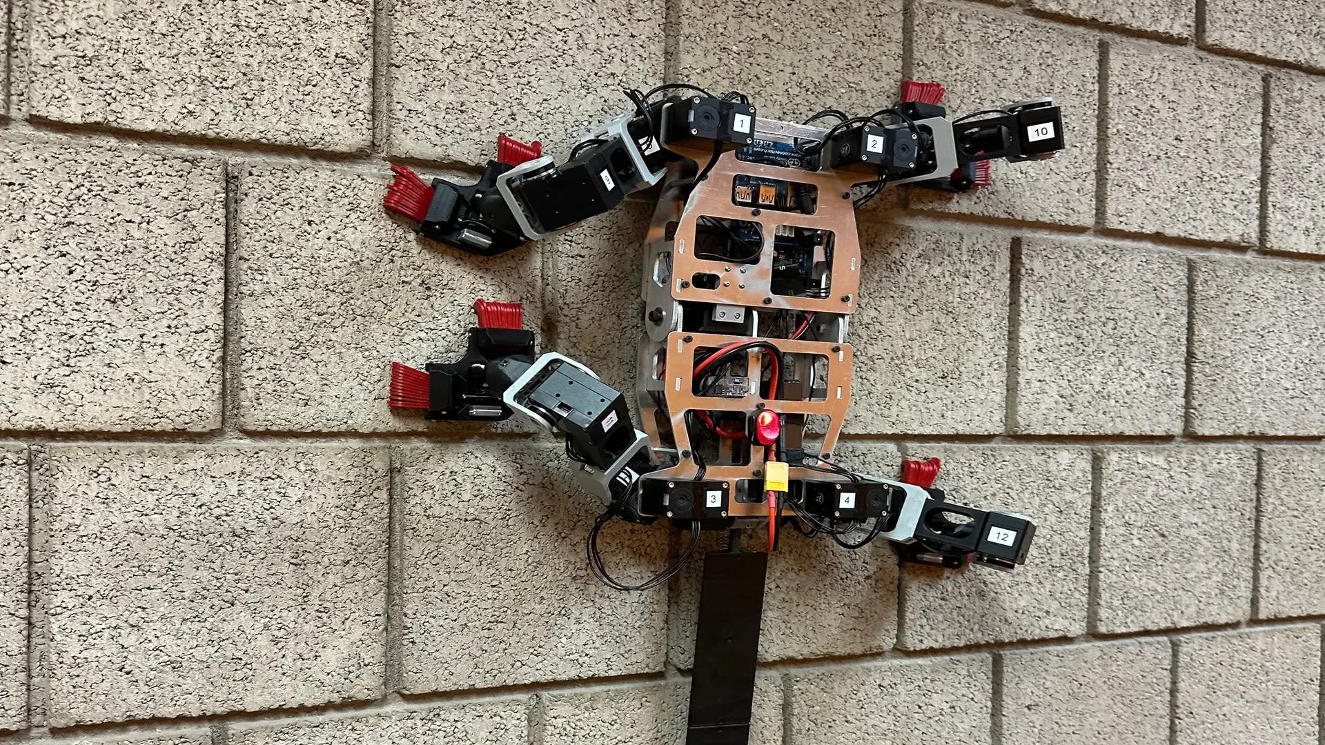 Lizard-like robot climbs walls with insect-inspired passive grippers