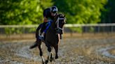 Catching Freedom shows why it was an 'easy decision' to enter him in the Preakness