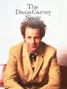 The Dana Carvey Show