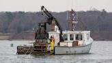 Shellfish company countersues Oyster Bay in battle over underwater lease