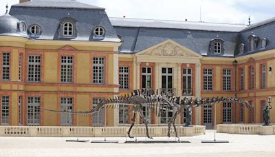This Dinosaur Skeleton Is One of the World’s Largest. It Could Fetch up to $5.4 Million at Auction.