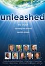 Unleashed: The Church Turning the World Upside Down