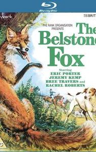 The Belstone Fox