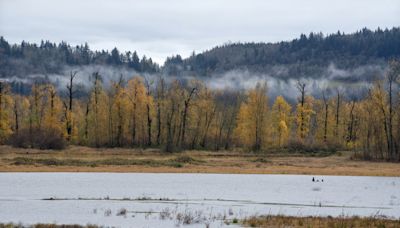 Washougal’s port, wildlife refuge swap land to smooth property access