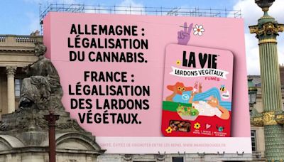 France plant-based meat descriptors ban suspended by court for second time