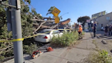 Gusty winds wreaking havoc across Southern California