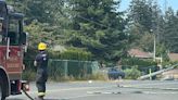 Driver hurt after knocking down utility pole in crash in Nanaimo