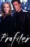 Profiler (TV series)