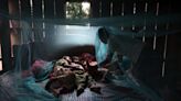 Malaria could be wiped out within a decade, says Oxford scientist