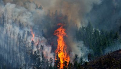 Wildfires rage through Colorado, prompting hundreds to evacuate; 1 killed