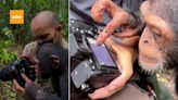 Viral Video: Chimpanzee checks photos on DSLR camera; photographer warns, ‘It’s not a toy’ | Today News