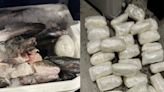 No fish tale: Customs officers find meth in ice chest filled with seafood