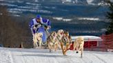 Underdogs overcame obstacles to join world's top dog-sledding teams
