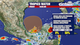 Storm system in Gulf of Mexico could become a tropical depression in coming days