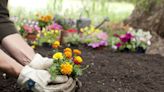 This ‘cheap’ scrap will stop pesky weeds from growing in your flower beds