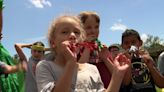 'I just felt overwhelmed with love': Students at Wilkesboro Elementary celebrate their Principal of the Year