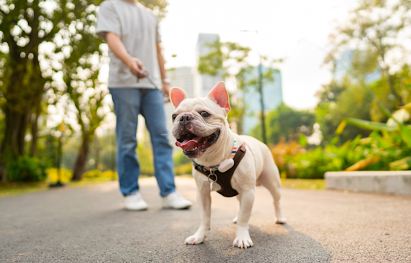 New Report Says These 10 U.S. Cities Have the Best Dog Parks