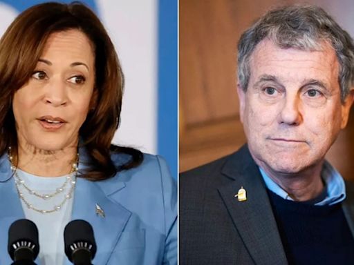 Vulnerable Dem senator hit with immigration ad tying his policies to his 'new friend' Kamala Harris