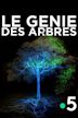 Le génie des arbres