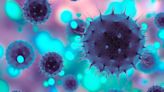 El virus de la gripe estacional con una doble mutación podría ser resistente a los medicamentos